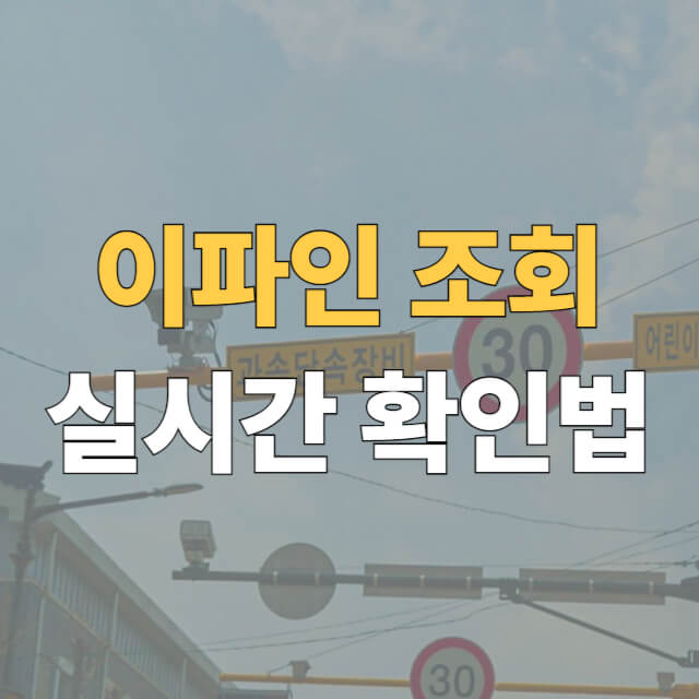 이파인 조회 실시간 대표이미지
