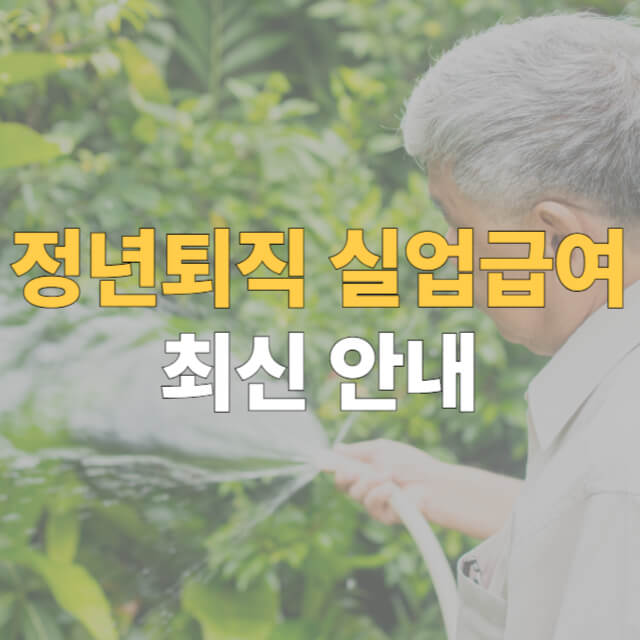 정년퇴직 실업급여 조건