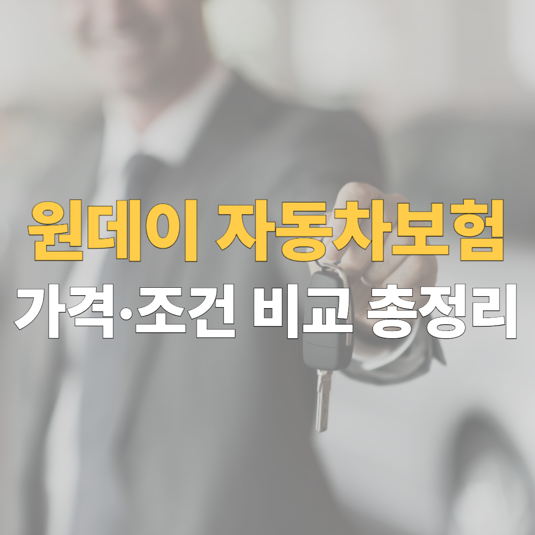원데이 자동차보험 가격비교 대표이미지