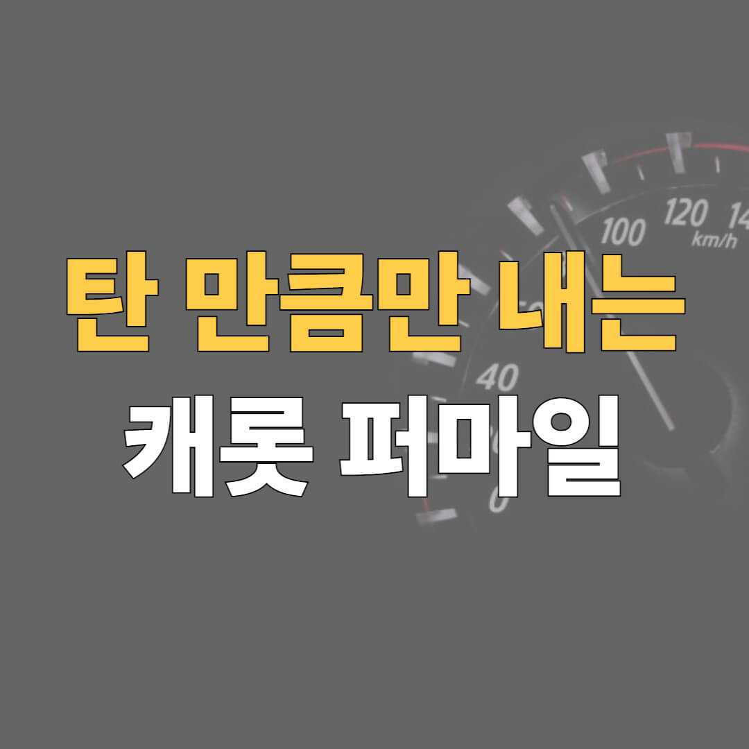 캐럿 퍼마일 대표이미지