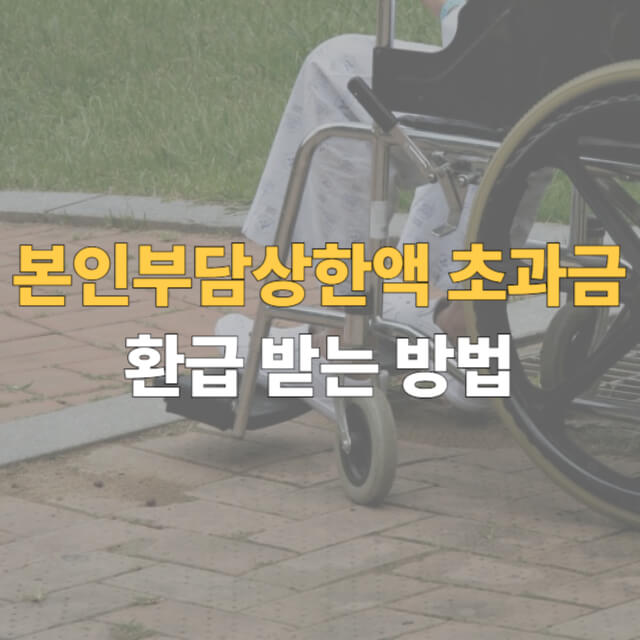 본인부담상한제 대표이미지