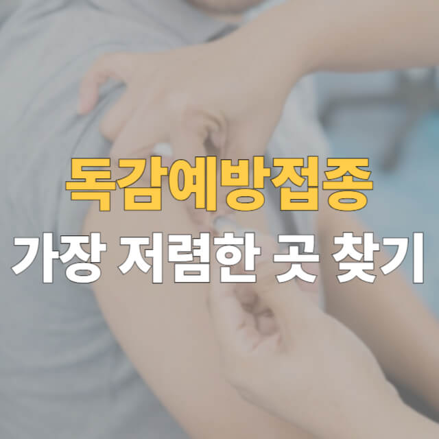 독감예방접종 가격 대표이미지