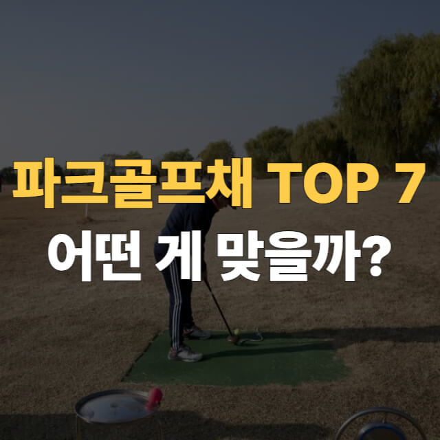 파크골프채 추천 대표이미지