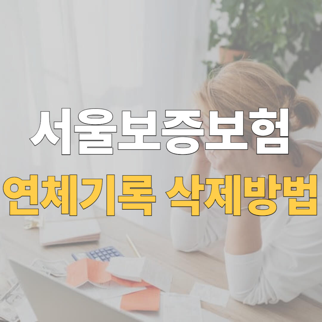 서울보증보험 연체기록 삭제 대표 이미지