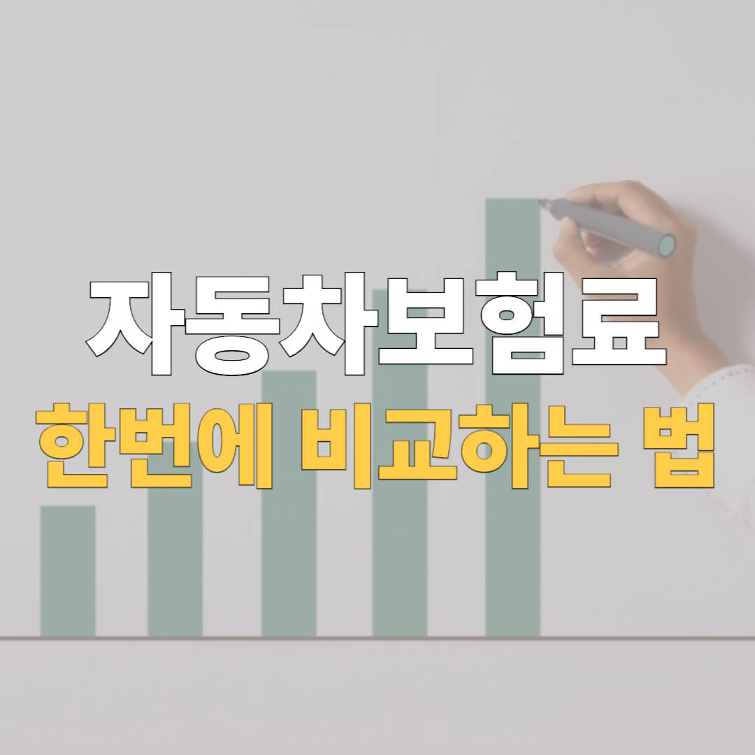 자동차보험 비교견적 사이트 대표 이미지