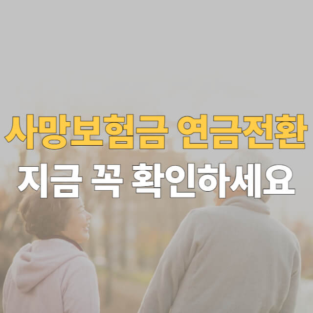 사망보험금 연금전환 대표이미지
