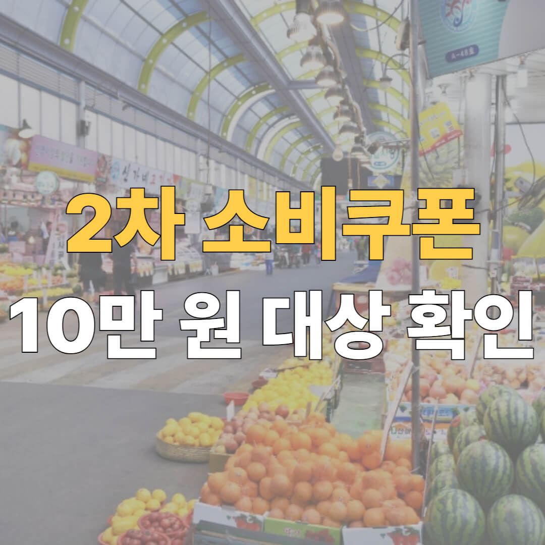 2차 소비쿠폰 대표이미지