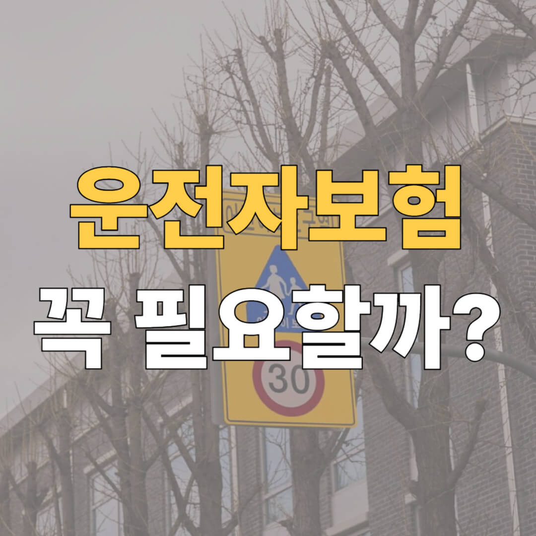 운전자보험 대표이미지