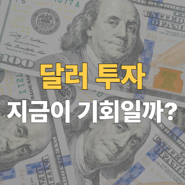 달러 투자법 대표이미지