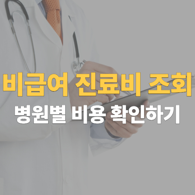 비급여 진료비 정보 조회 대표이미지