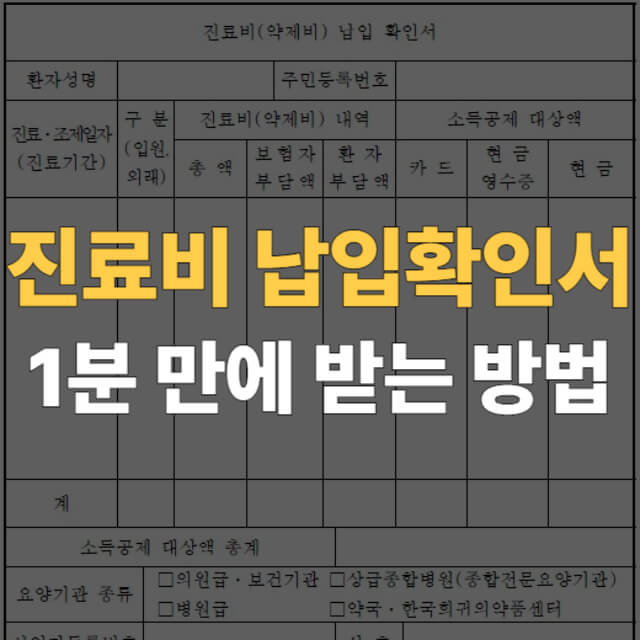 진료비 납입확인서 발급 대표이미지